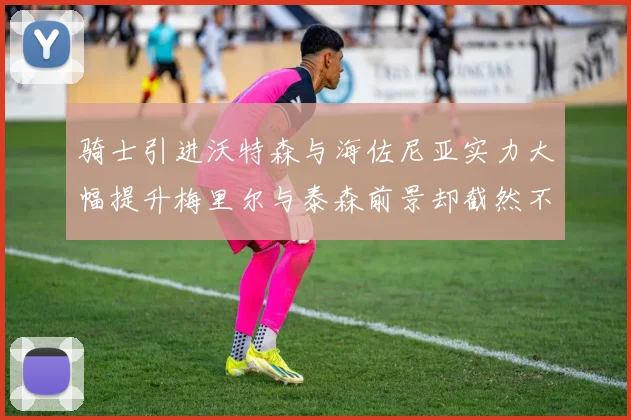 骑士引进沃特森与海佐尼亚实力大幅提升梅里尔与泰森前景却截然不同